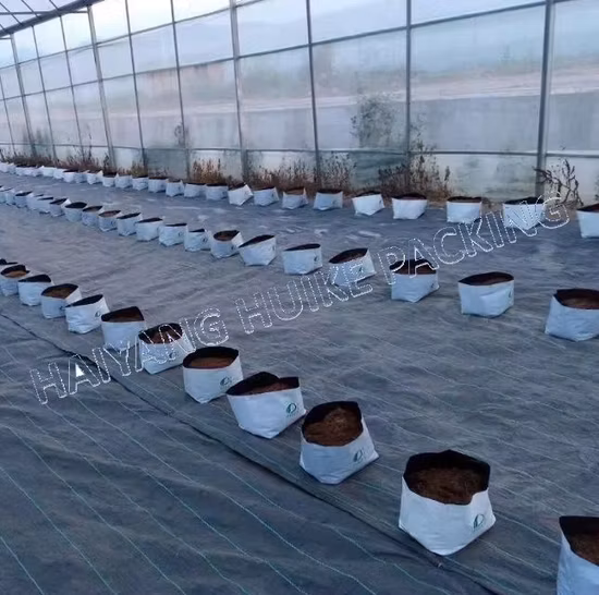 Anti-UV 1/8-45 Gallonen Pflanzbeutel Poly-Gartenbeutel/PP-Beutel/Wachstumsbeutel für Tomaten, Früchte